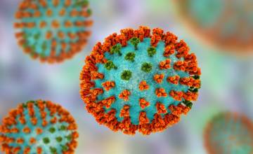 Study suggests universal flu vaccine may be even more challenging than expected