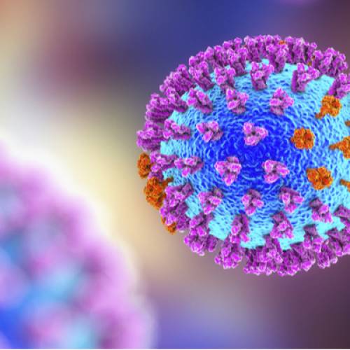 Innovative drug screening technique yields potential flu treatment