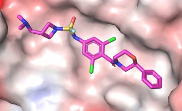 Drug-like inhibitor shows promise in preventing flu