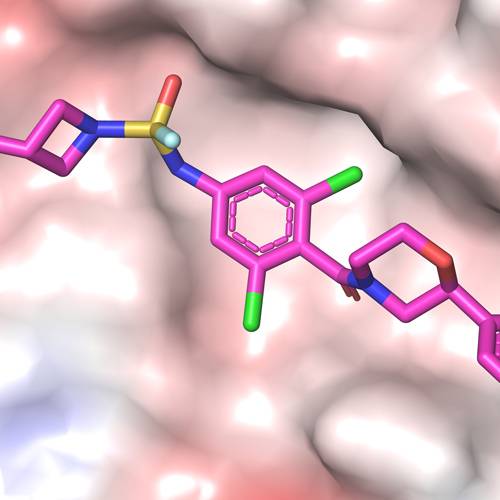 Drug-like inhibitor shows promise in preventing flu